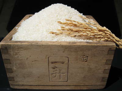 ☆よしろう米☆美味しいお米ですo(^▽^)o♪_d0135908_1559294.jpg