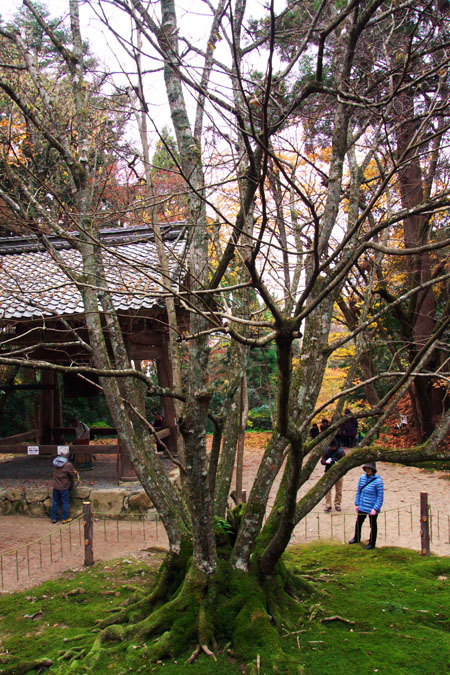 a0263109_22163823.jpg