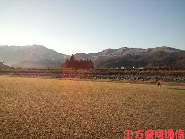 b0172209_942864.jpg