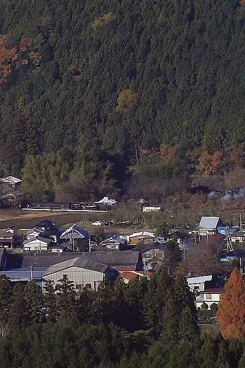 b0190710_236214.jpg