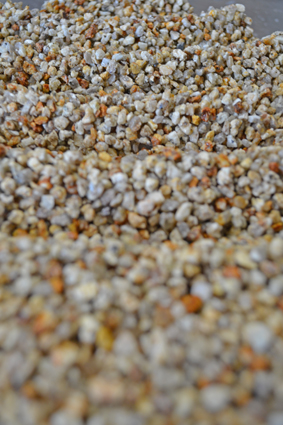 c0177910_2036491.jpg