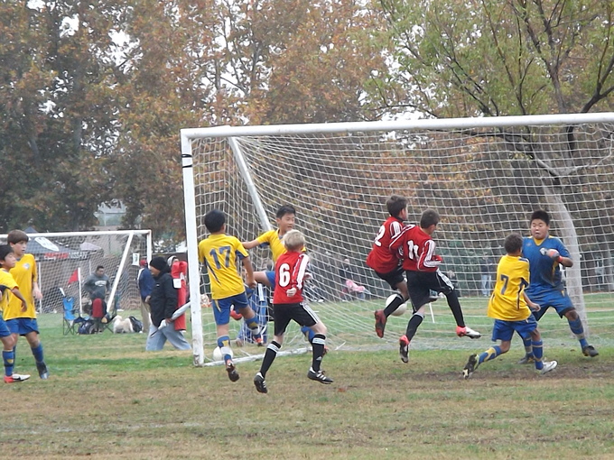 a0144811_5585896.jpg