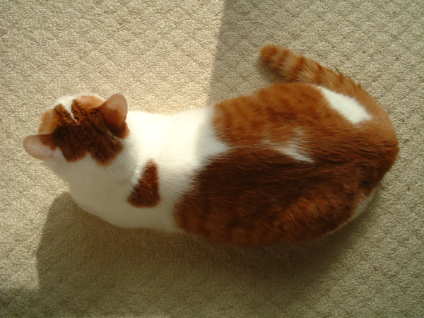 c0006312_2113132.png