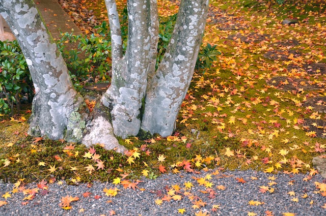 c0248013_1353472.jpg