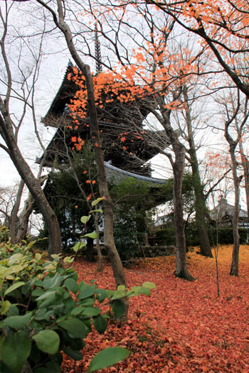 紅葉だより65 真如堂絶景_e0048413_1529273.jpg