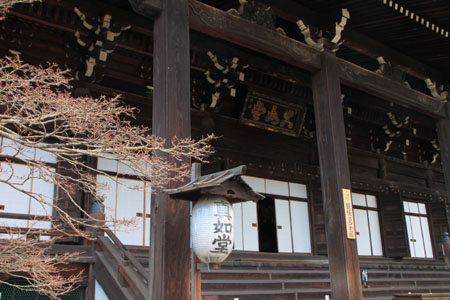 紅葉だより65 真如堂絶景_e0048413_15293853.jpg