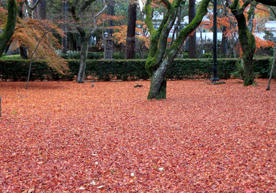 紅葉だより65 真如堂絶景_e0048413_15311763.jpg