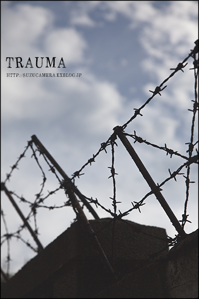 TRAUMA_f0100215_0371278.jpg
