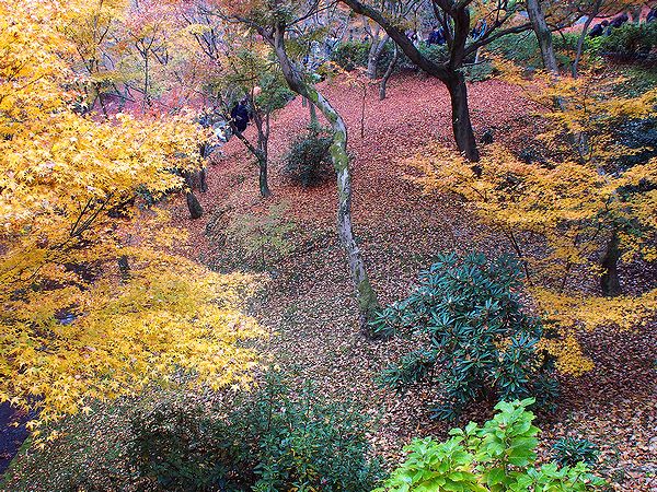  ＊錦秋の奈良・京都の紅葉名所めぐり_b0204819_21495471.jpg