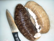 イシナマコを食べてみた_a0043520_8284756.jpg