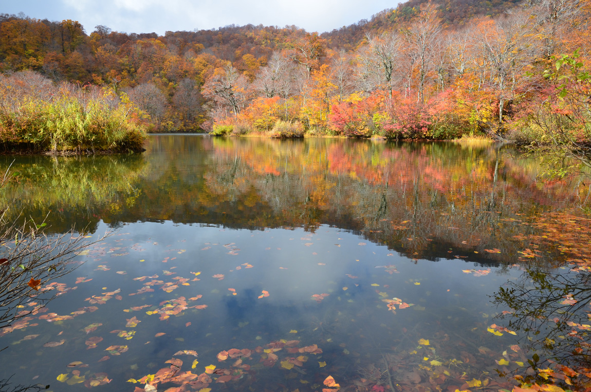 紅葉のくるま旅 （１１） ・・・雨飾高原、鎌池、ヒスイ峡、高浪の池_a0216227_1563066.jpg