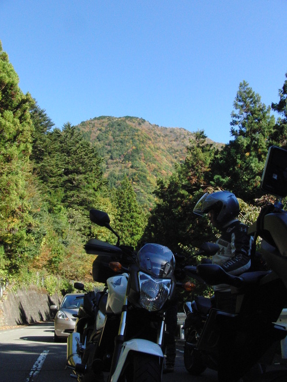 c0102732_333362.jpg