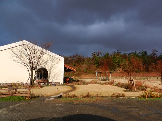 f0224736_1183219.jpg