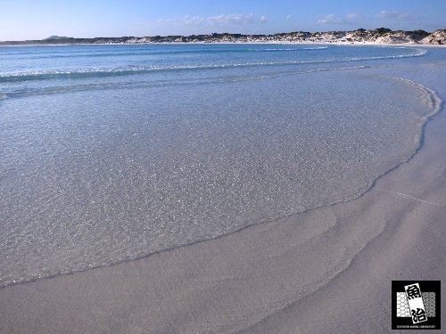 a0150039_1030476.jpg