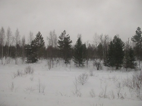 d0167041_46114.jpg
