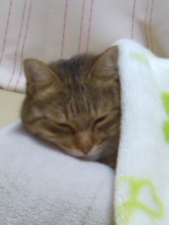 f0223942_812193.jpg