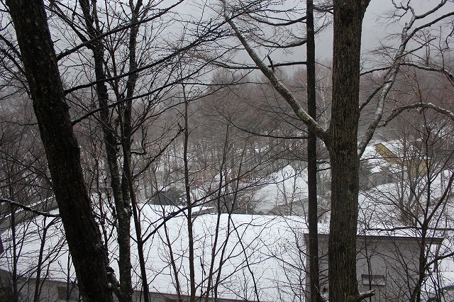e0023643_2118940.jpg