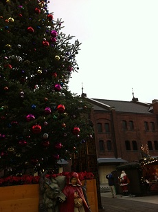 赤レンガ倉庫のイッテq クリスマスツリー 横浜 とつか チェリーブロッサムです