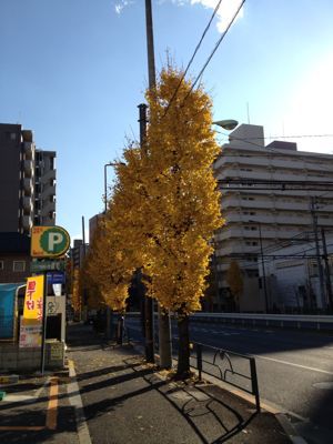 2012.12.06 矯正勉強会_b0112648_8572282.jpg