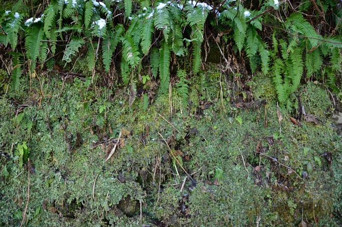 a0263952_23444879.jpg