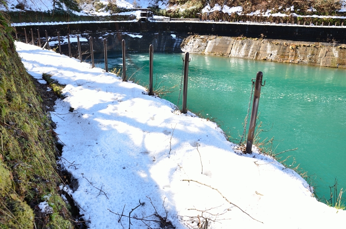 ２０121125 真川調整池 富山県富山市本宮 3/9_a0263952_23452615.jpg