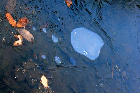 a0248459_13465719.jpg