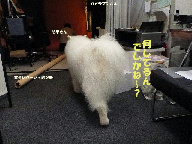 e0176159_1214881.jpg