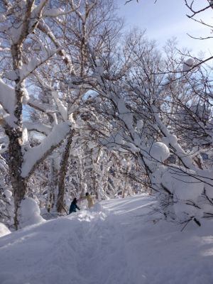 北海道7日目 ☆ 札幌国際スキー場_c0151965_14151278.jpg