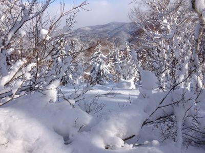 北海道7日目 ☆ 札幌国際スキー場_c0151965_14151914.jpg