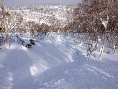 北海道7日目 ☆ 札幌国際スキー場_c0151965_1415973.jpg