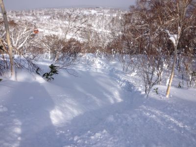 北海道７日目　☆　札幌国際スキー場_c0151965_1415973.jpg