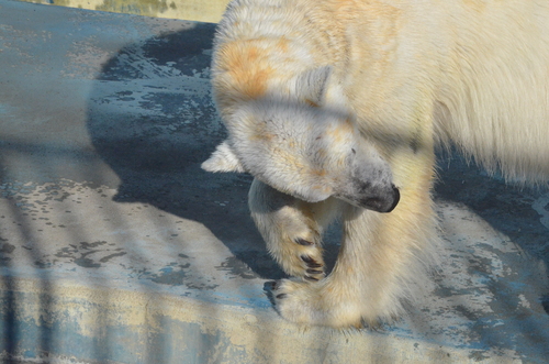 e0213169_2293236.jpg