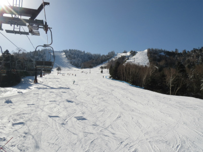 a0038882_9205119.jpg