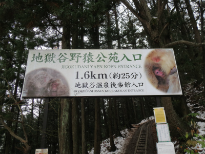 a0038882_9554458.jpg