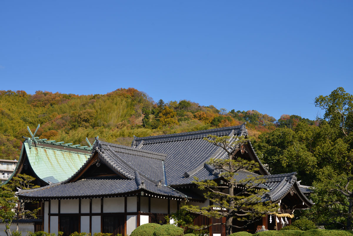 湯神社の紅葉_e0253183_20244470.jpg