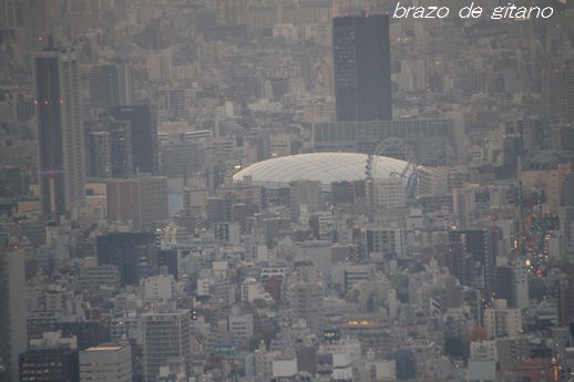 c0212987_20274064.jpg