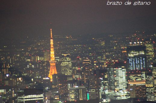 c0212987_20292693.jpg