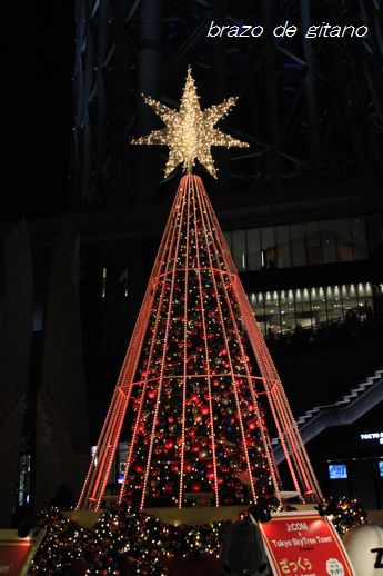 c0212987_20424131.jpg