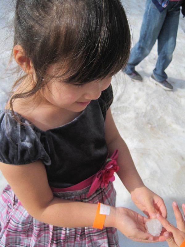 b0257088_14521484.jpg