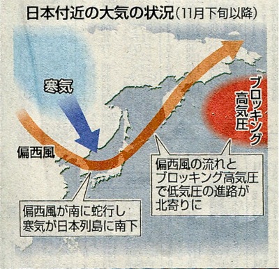 今朝の最低気温は氷点下１.３度，きょうは「大雪」です_d0006690_17594320.jpg