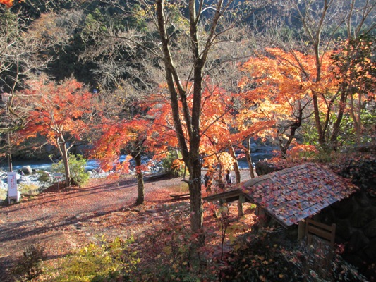 d0153294_16264750.jpg