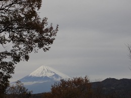 b0146196_0445164.jpg