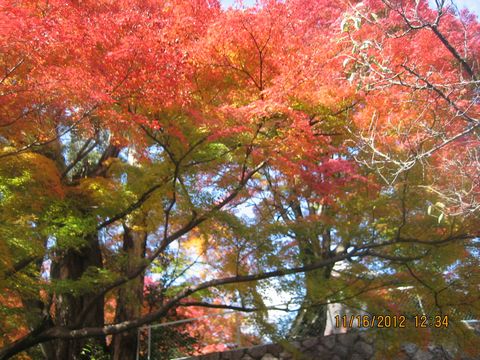 a0276402_1553890.jpg