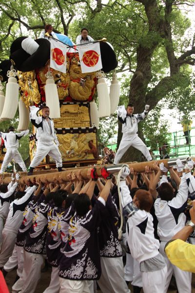 新居浜太鼓祭り（１）_d0148902_1883823.jpg