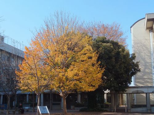 f0120102_232367.jpg