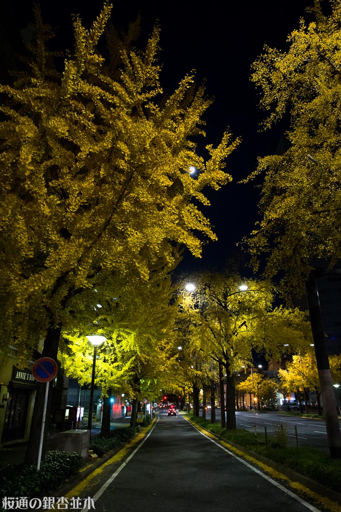 f0220502_17452456.jpg