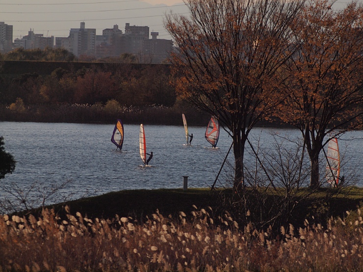 c0187503_2029421.jpg