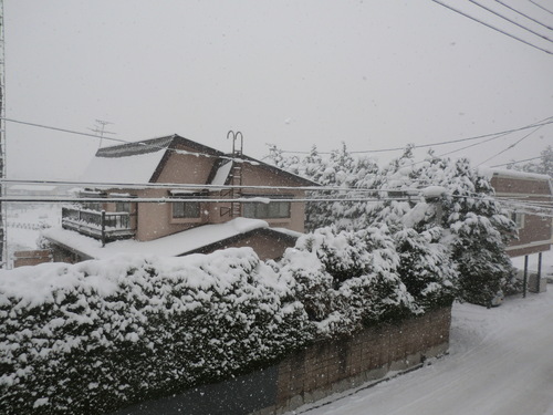 e0242504_1024297.jpg