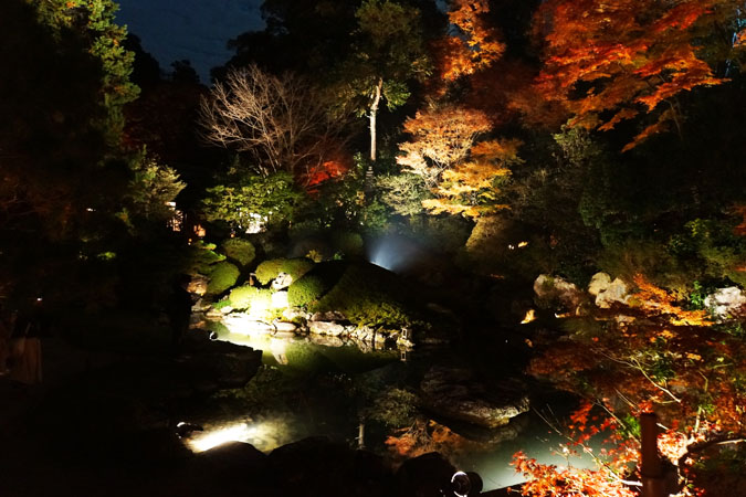 a0263109_10575914.jpg