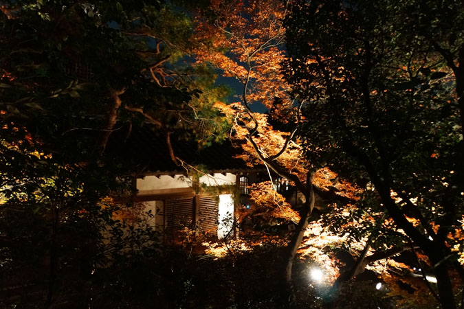 a0263109_1102690.jpg